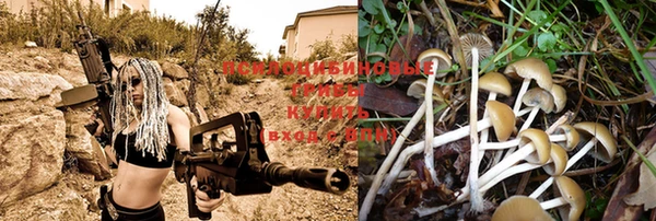 Альфа ПВП Ладушкин