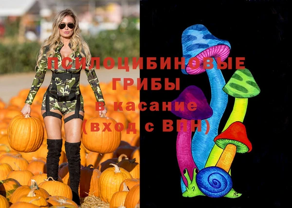 Альфа ПВП Ладушкин