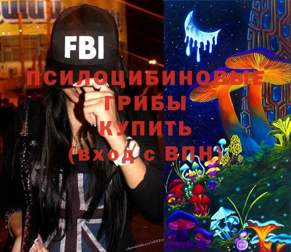 Альфа ПВП Ладушкин