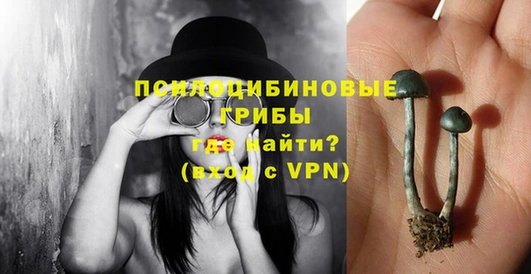 Альфа ПВП Ладушкин