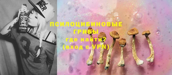 гидропоника Лабытнанги